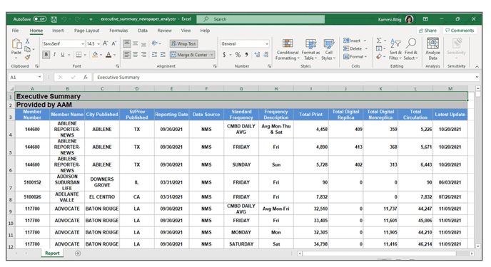 Executive Summary report